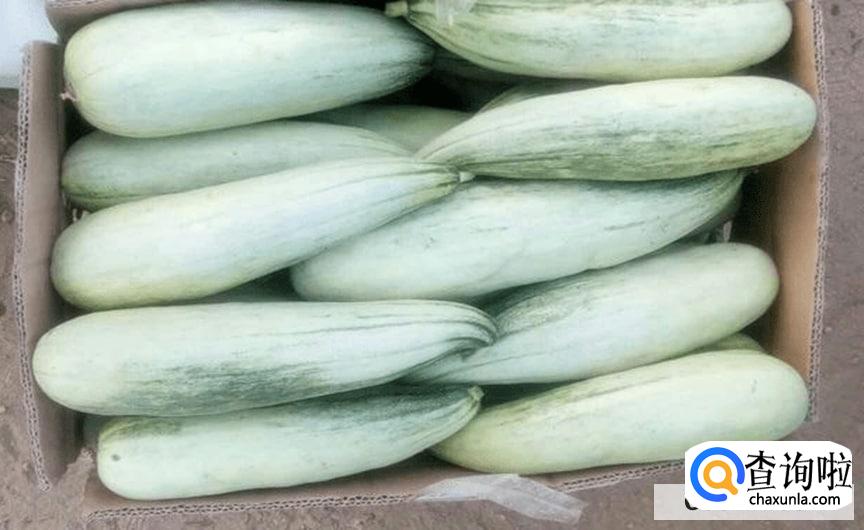 羊角蜜白色和绿色哪个好吃