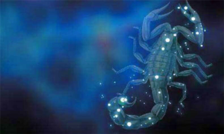 天蝎座和什么星座最配