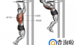 如何练好健身动作之背部肌肉详细动作