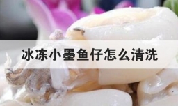 冰冻小墨鱼仔怎么清洗