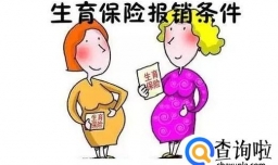 社保中的生育保险怎么用