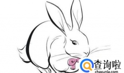 属兔的人2018年运程 2018年生肖兔运势详解