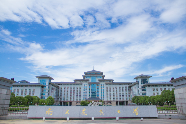 南京有什么大学