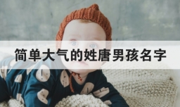 简单大气的姓唐男孩名字