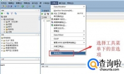 怎样把PL、SQLDeveloper字体调大