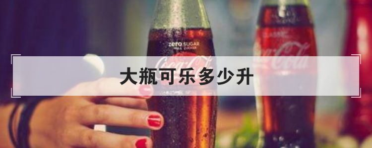 大瓶可乐多少升