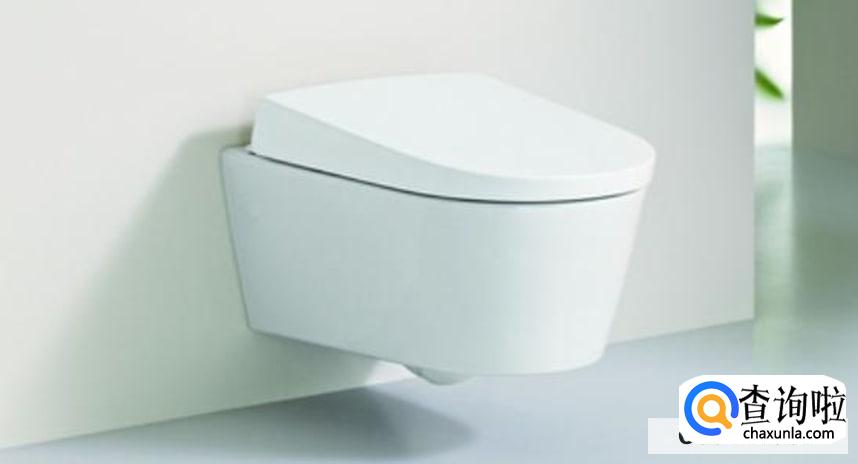 选购坐便器技巧