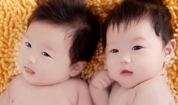 生双胞胎男孩的秘诀