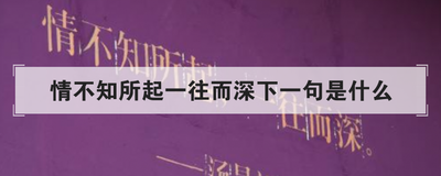 情不知所起一往而深下一句是什么