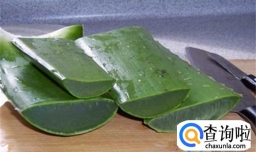 怎么炒芦荟