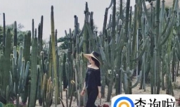 厦门隐藏的网红景点指引攻略