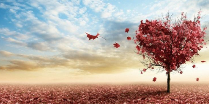 身无彩凤双飞翼心有灵犀一点通这句话出自哪里