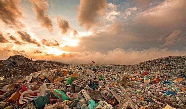 环境污染的毒作用