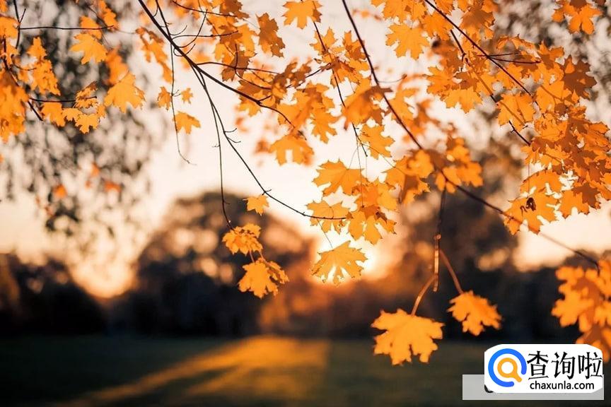 经常不晒太阳会如何