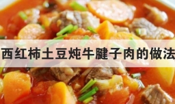 西红柿土豆炖牛腱子肉的做法