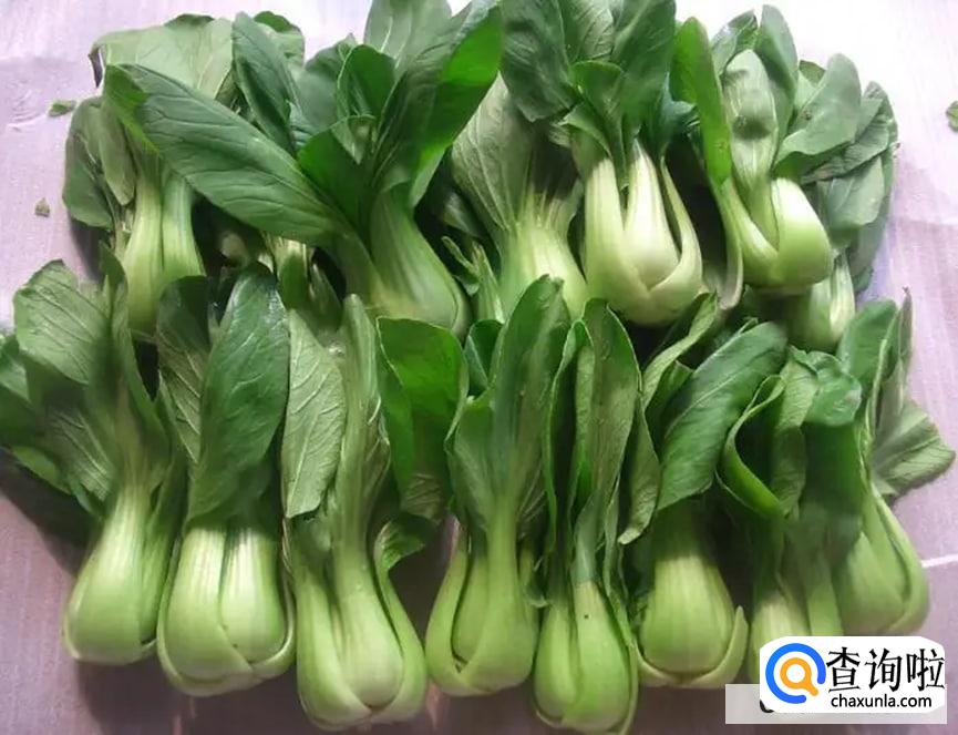 吃油菜有什么注意事项