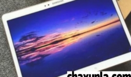 notability可以在一篇文档内分屏吗