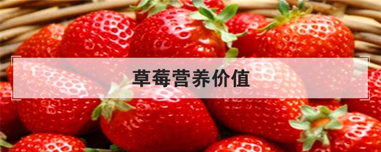 草莓营养价值