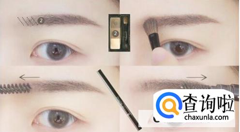 新手画眉教程