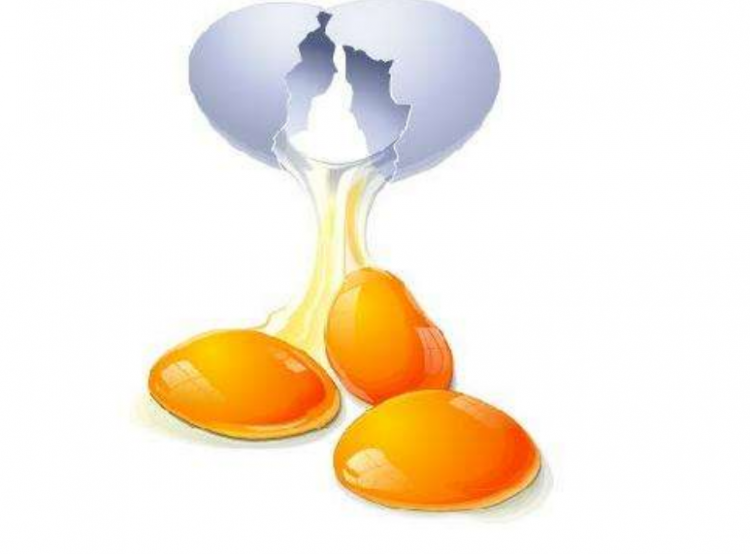 用鸡蛋洗头发有什么效果