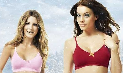 女士内衣十大名牌