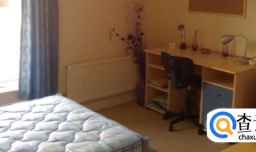 洛翰普顿大学研究生专业设置