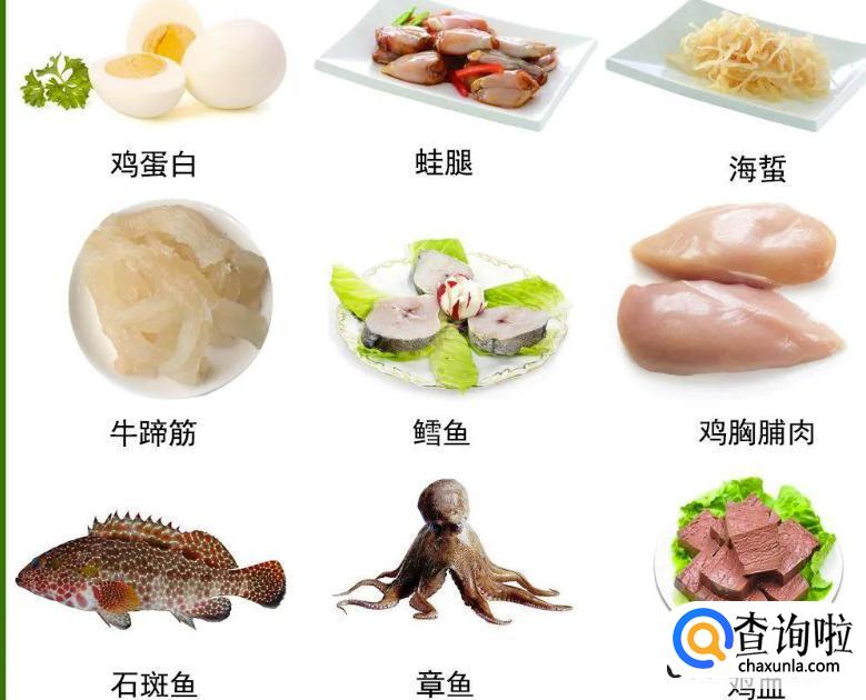 低脂食物类型