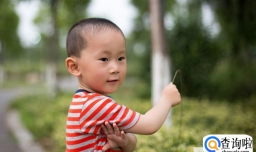 孩子欺负别的小朋友怎么办