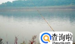 一年之中什么季节钓鱼最好