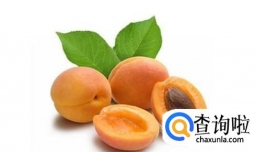 杏有什么功效与作用
