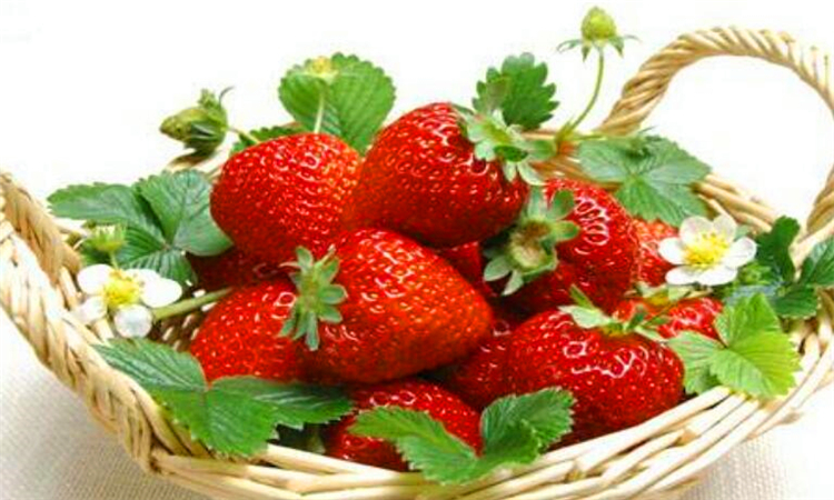 草莓营养价值