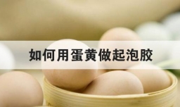 如何用蛋黄做起泡胶
