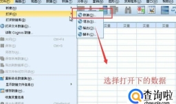 如何在SPSS分析软件中进行频数分析