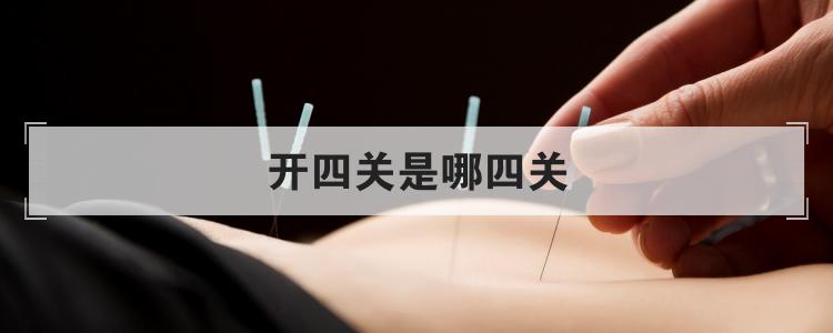 开四关是哪四关