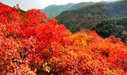 香山在哪个城市