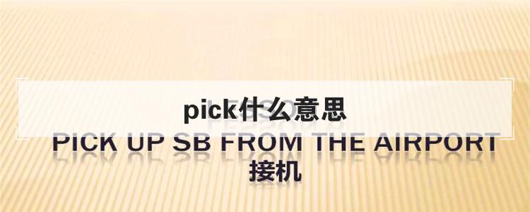 pick什么意思