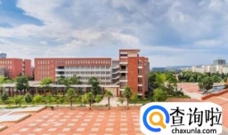 在校园做什么最赚钱？