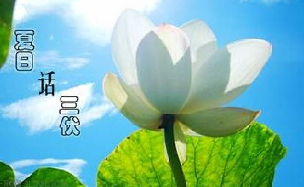 什么时候是二伏天