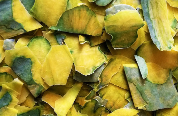 南瓜皮可以吃吗？