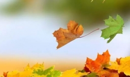 2021年几点立秋？早秋还是晚秋？