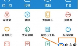 全国新生儿重名查询，支付宝新生儿重名查询方法