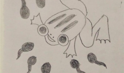 简笔画之小蝌蚪找妈妈