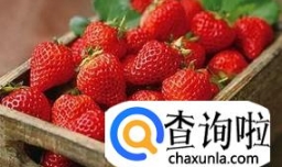 草莓酒的制作方法