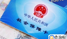 社保卡丢了怎么挂失,补办社保卡多少钱