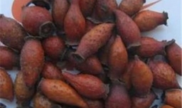 金樱子酒制作方法