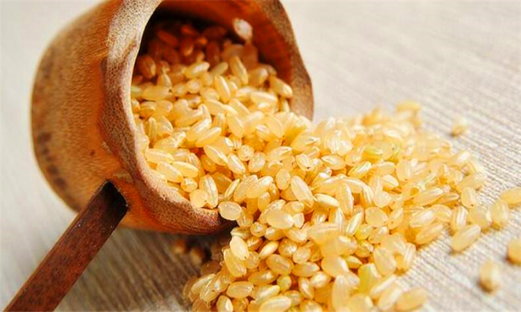 不吃肉用什么代替营养