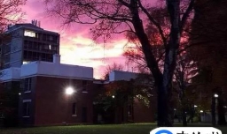 奥塔哥大学回国有优势吗