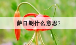 萨日朗什么意思