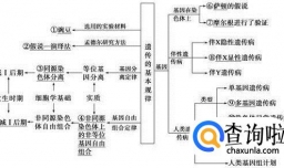 生物伴性遗传解题技巧