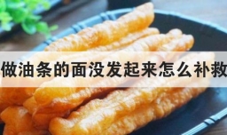 做油条的面没发起来怎么补救